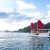 HALONG AMAZING SAILS EXPLORER DAY CRUISE